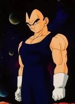 Vegeta [ Training Arc ] thumbnail