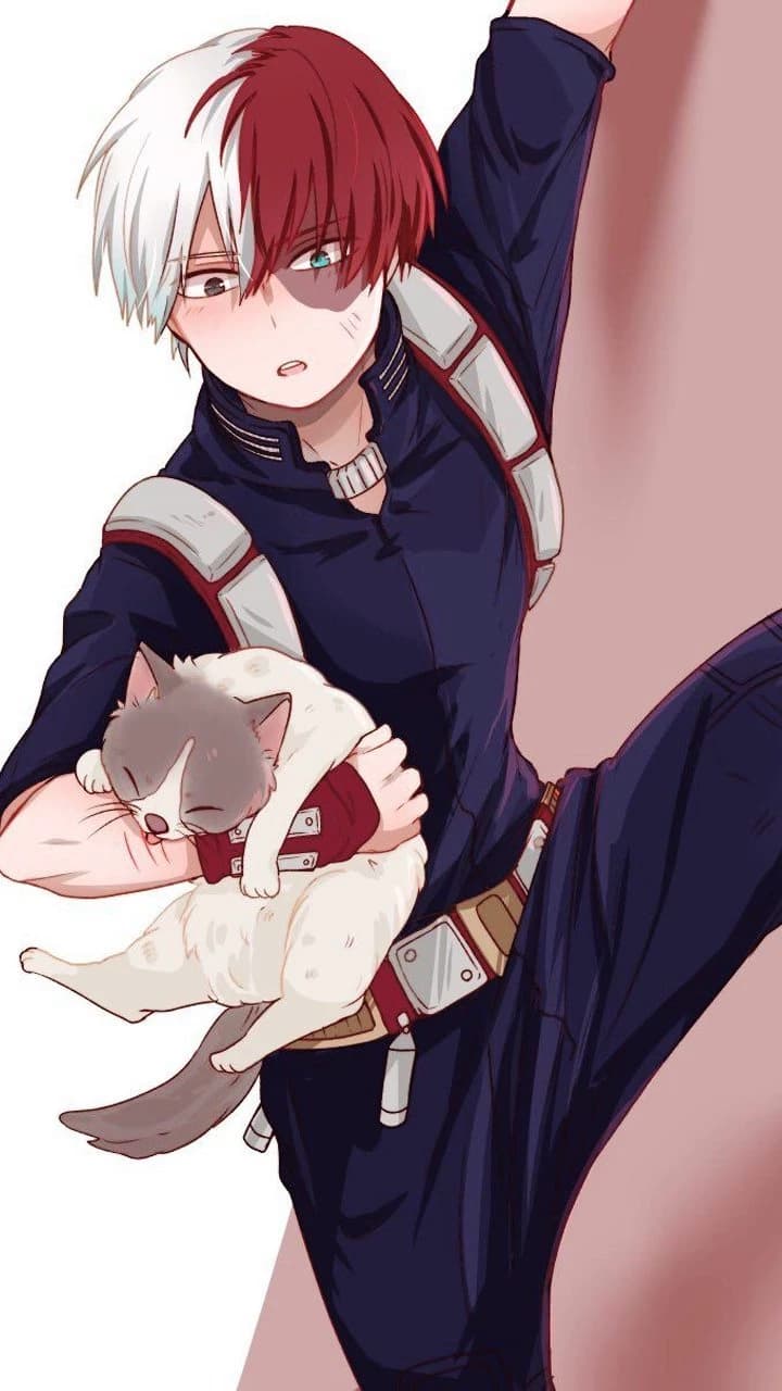 Shoto Todoroki thumbnail