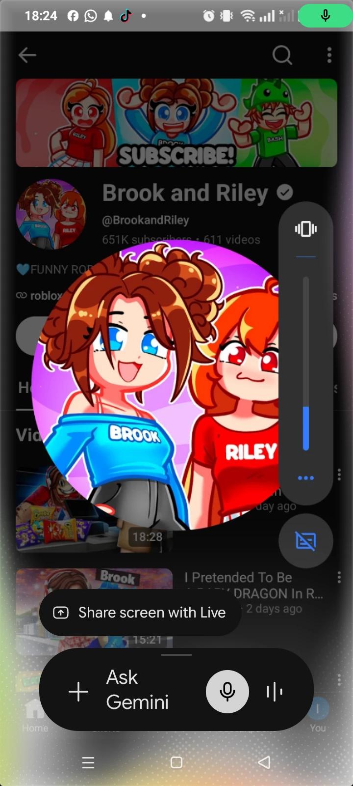 brook and Riley two crazy sisters that play Brookhaven thumbnail
