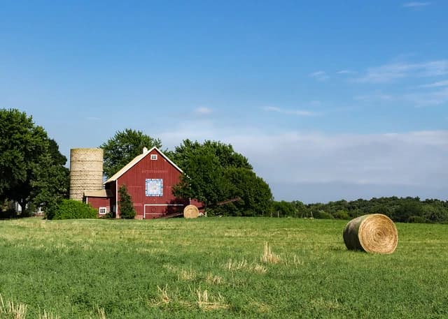 Horny Dale Farms thumbnail