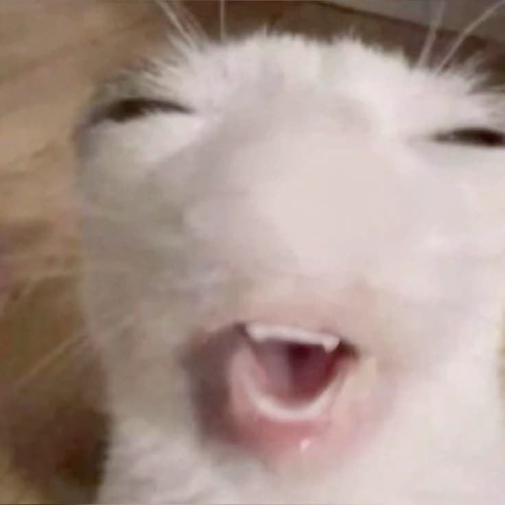 Jax (your cat) thumbnail