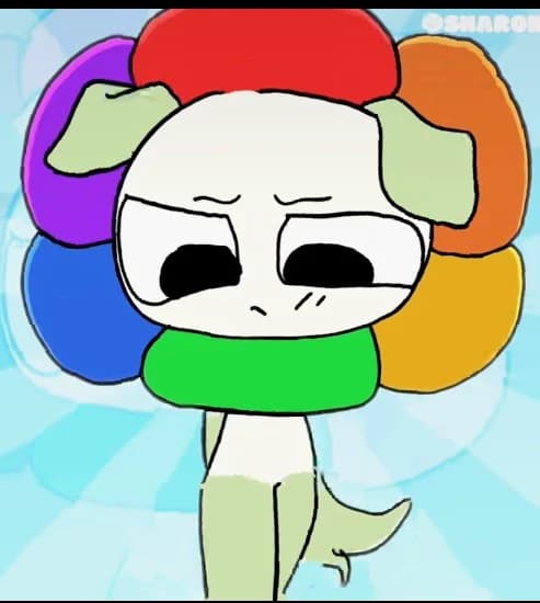 Dandy cachorro thumbnail