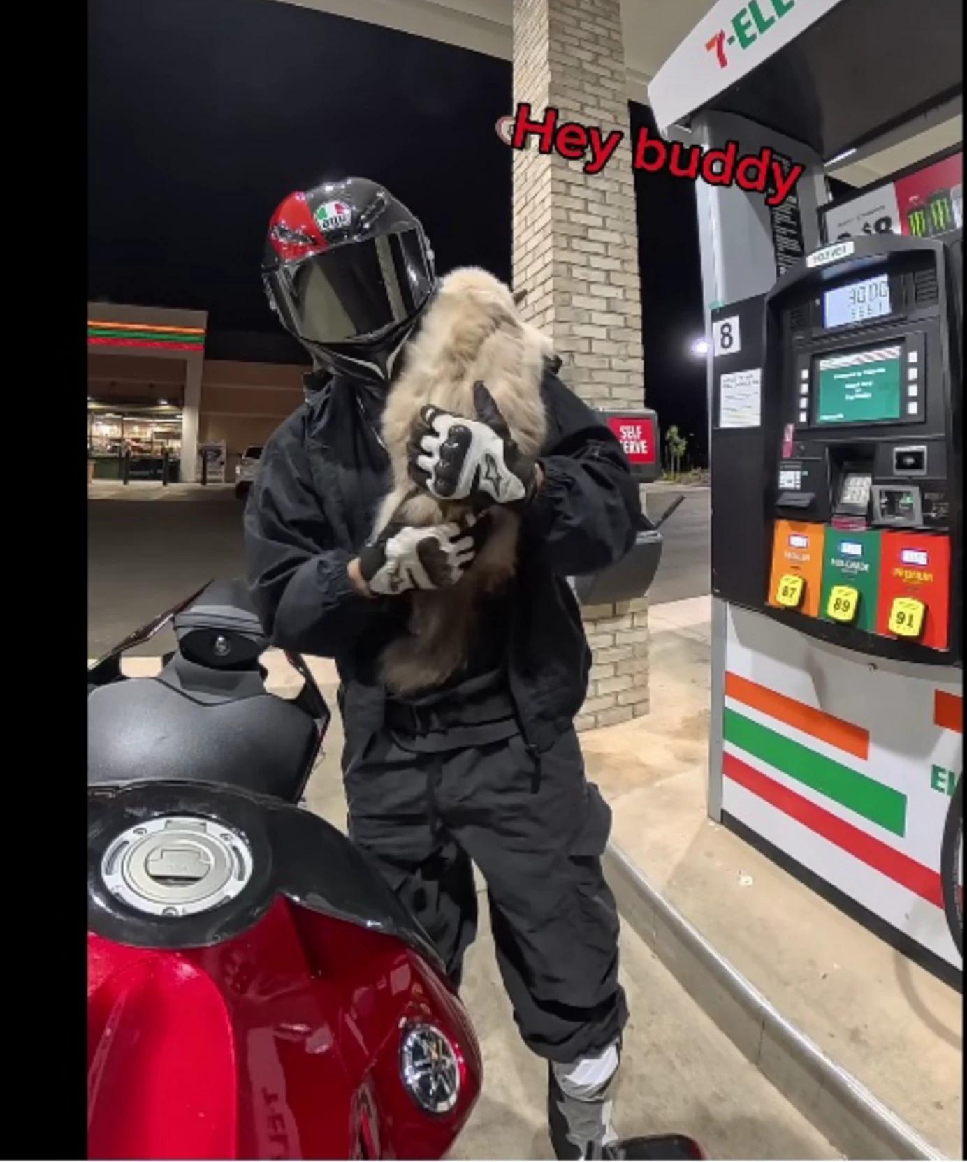 Bongo thumbnail