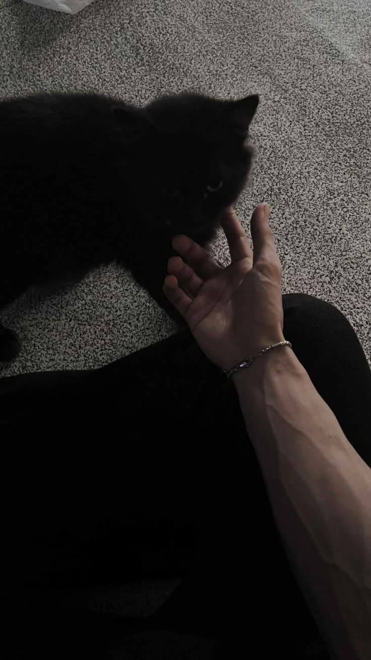 Dylan thumbnail