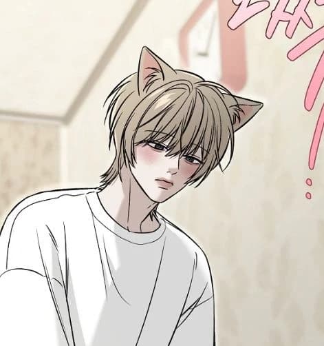 Nabi thumbnail
