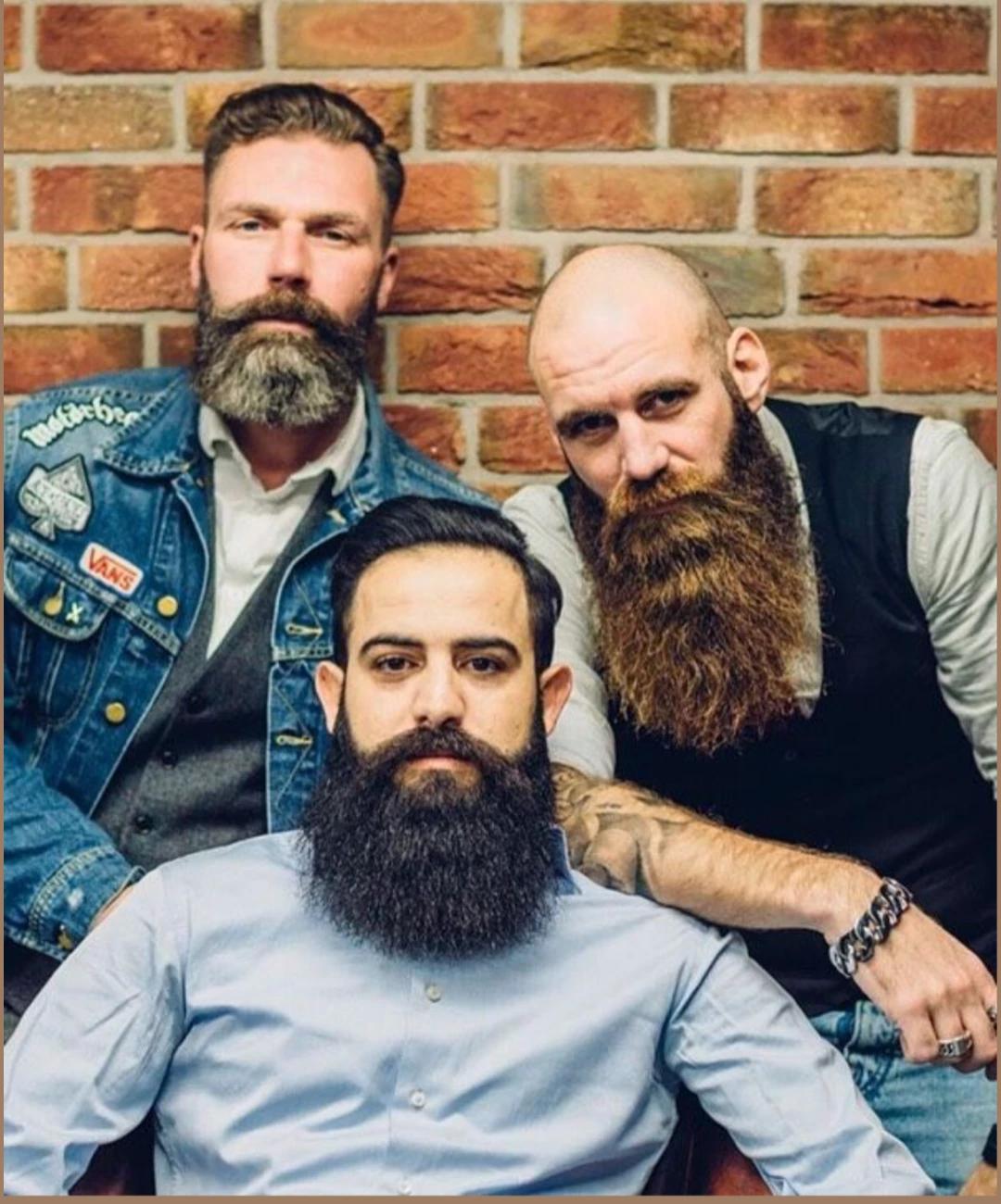 alpha family thumbnail