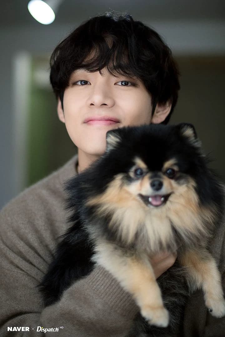 Taehyung, idol thumbnail