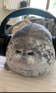 seal thumbnail