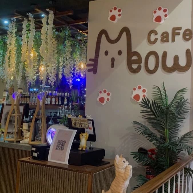 Cat cafe shop thumbnail