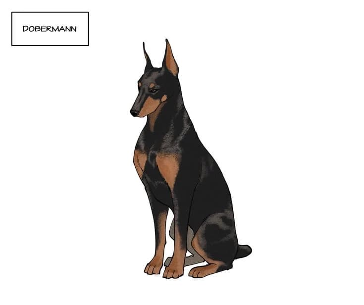 Kaiser thumbnail