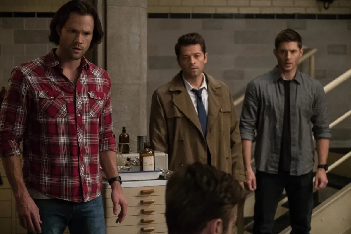 Team Free Will thumbnail