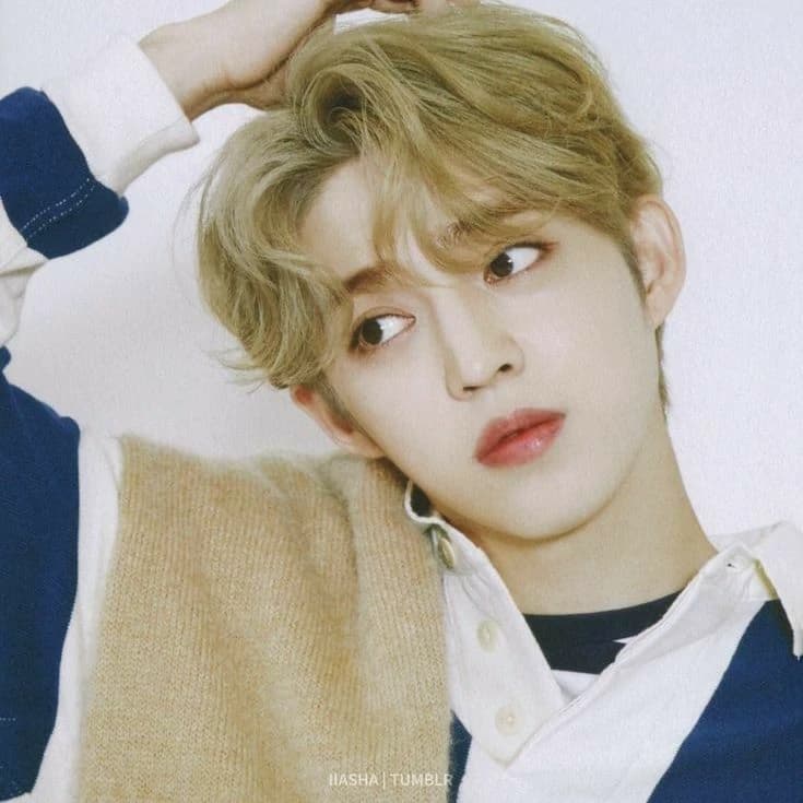 Choi Seungcheol / Music thumbnail