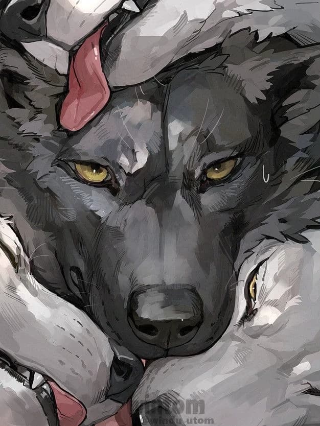 Dain Salvatore thumbnail