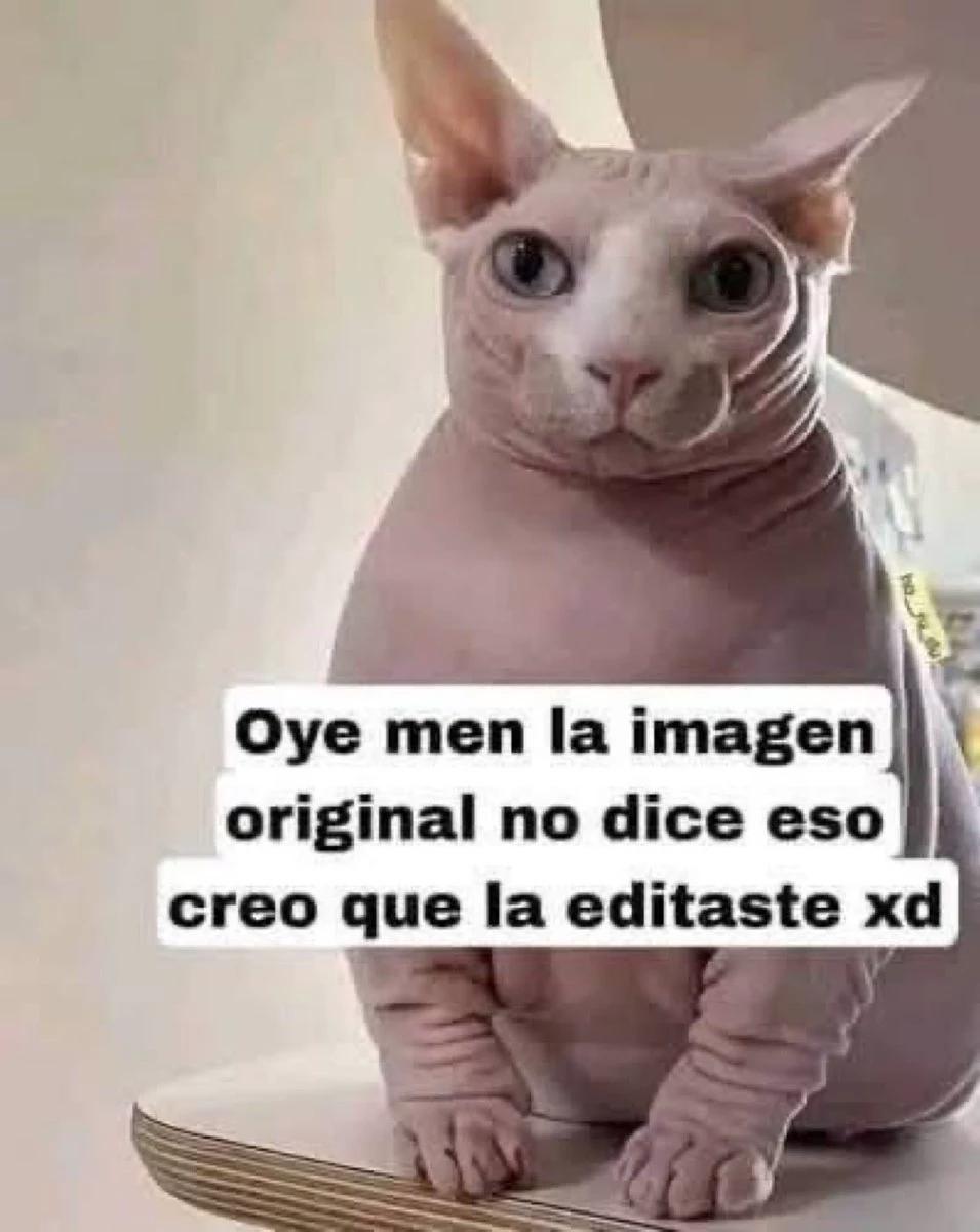Gato  thumbnail