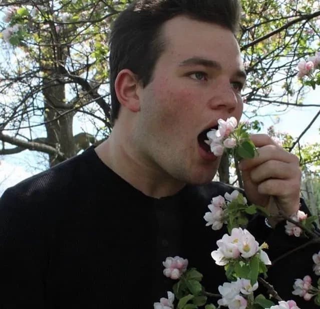 Belch Higgins  thumbnail