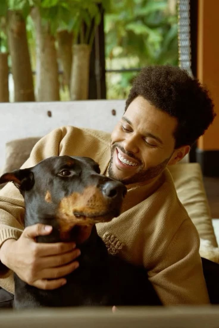 abel Tesfaye (the weeknd) thumbnail