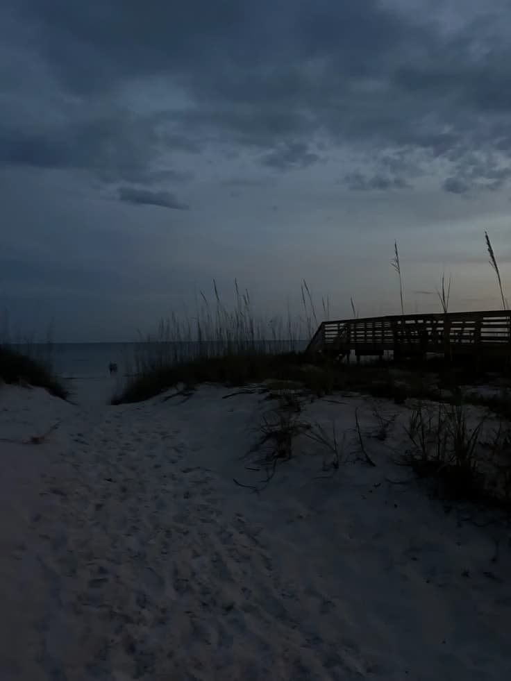 the beach no one forgot thumbnail