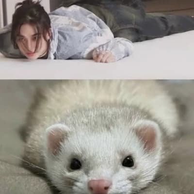 Hyunjin thumbnail