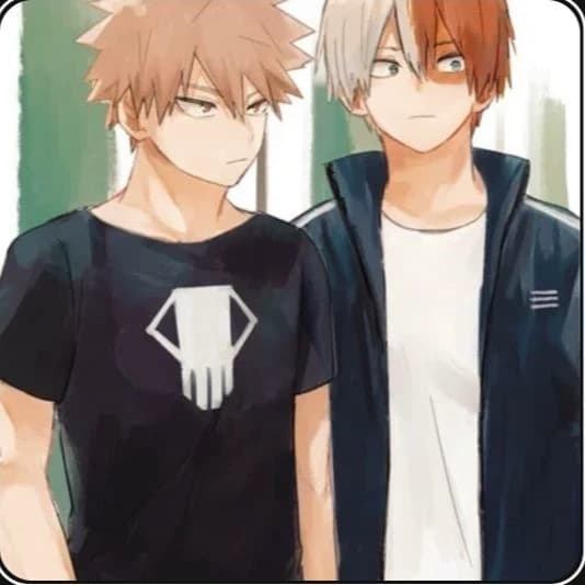 Katsuki y Todoroki thumbnail