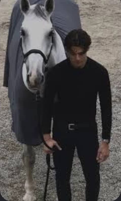 Vincent Brooks Equestrian thumbnail