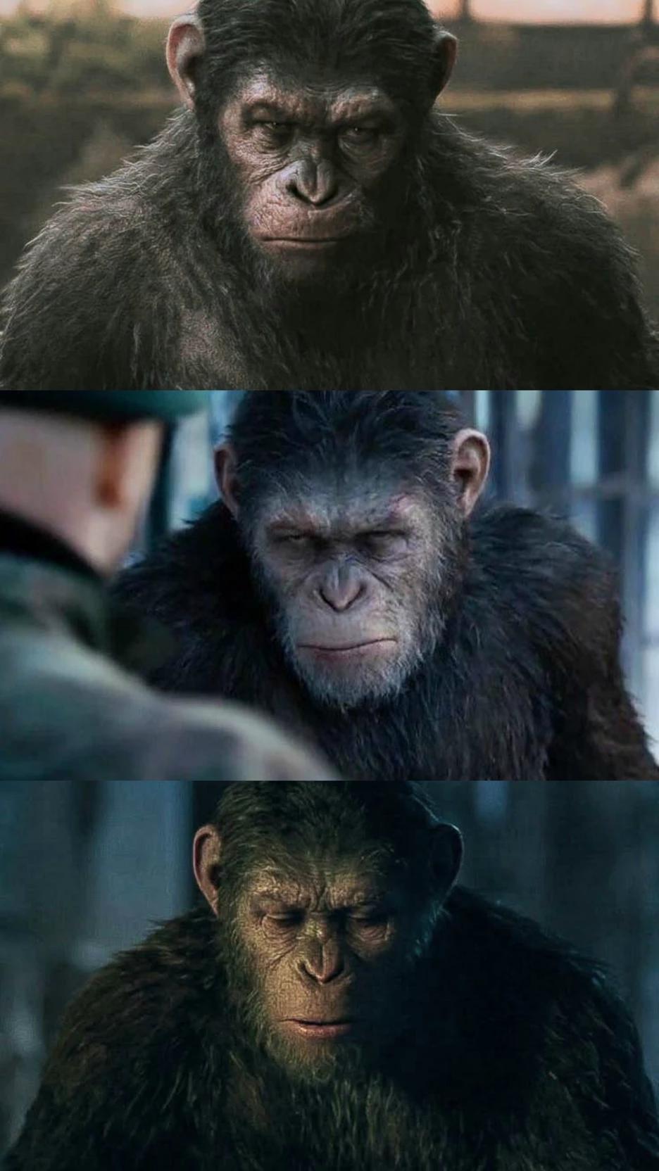 Caesar thumbnail