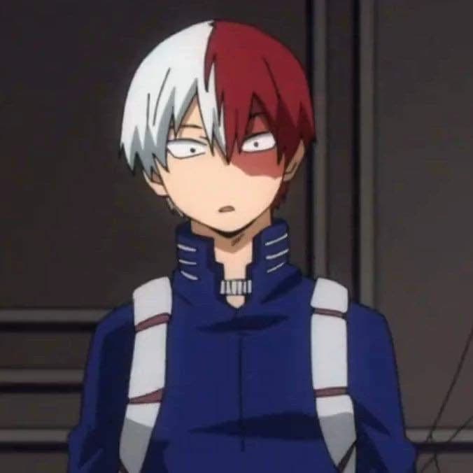 Shoto Todoroki thumbnail