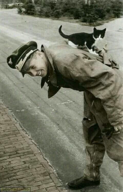 German officer thumbnail