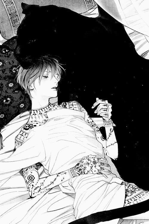 Aster Noctis - BL thumbnail