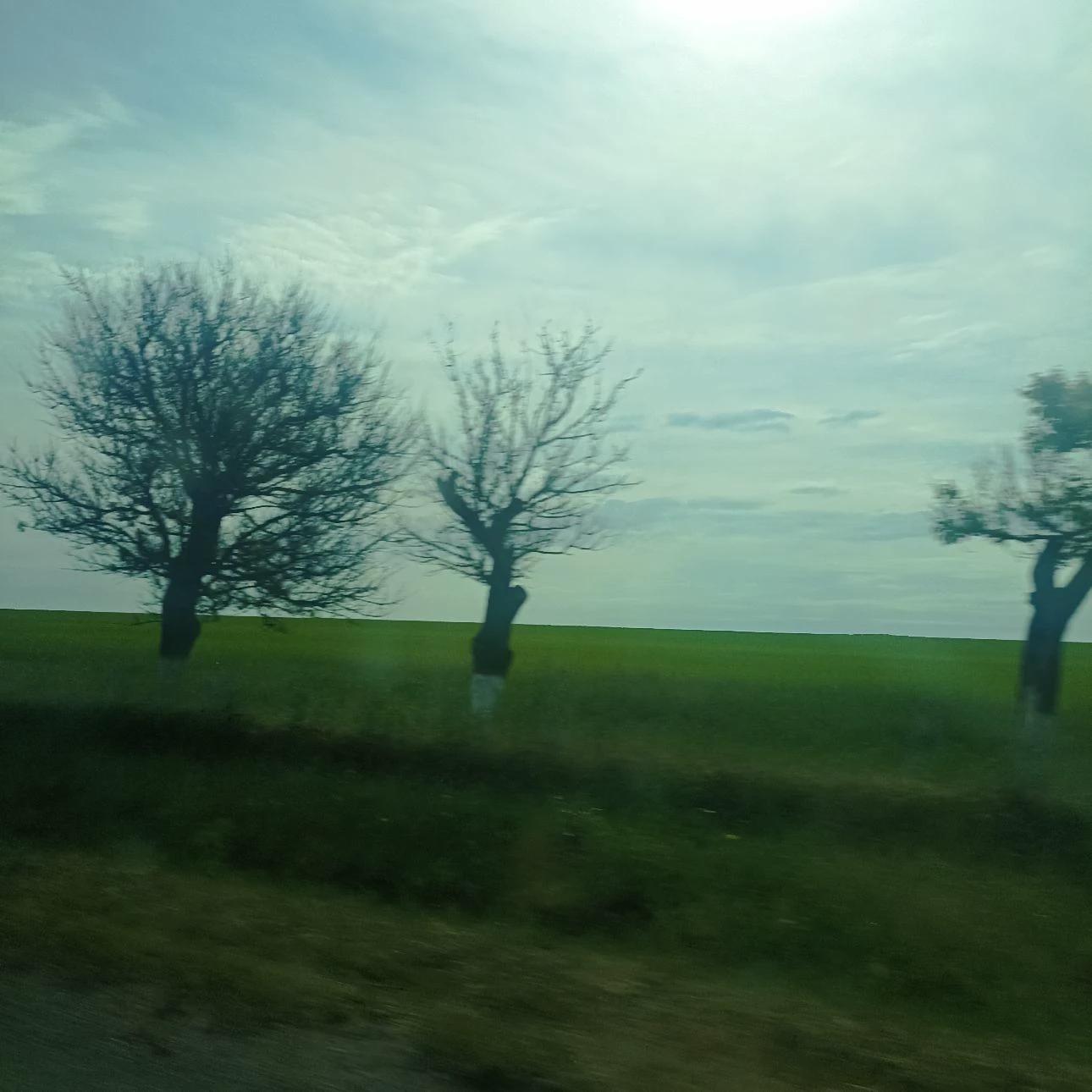 the world (in the world) thumbnail