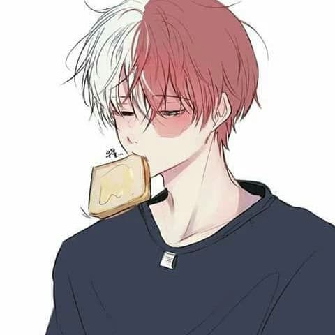 Todoroki Shoto thumbnail