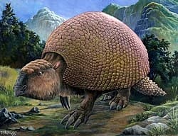 Gliptodonte thumbnail
