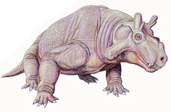 Estemmenosuchus thumbnail