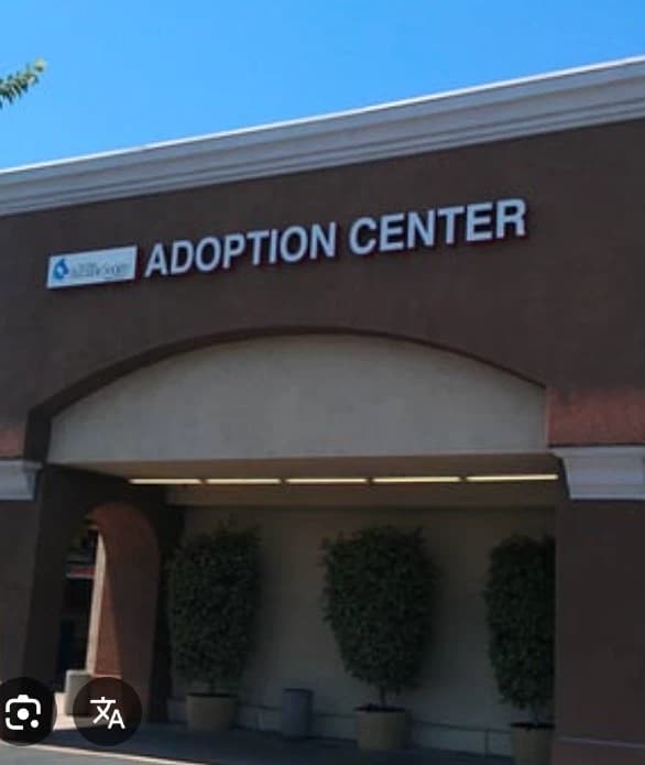 adoption center thumbnail
