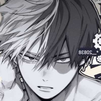 Shoto Todoroki  thumbnail