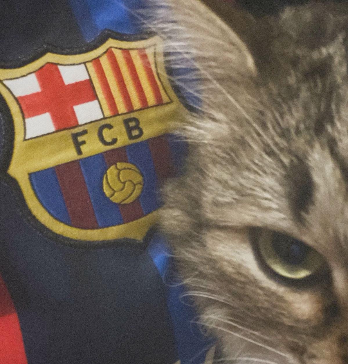 Fc barcelona thumbnail