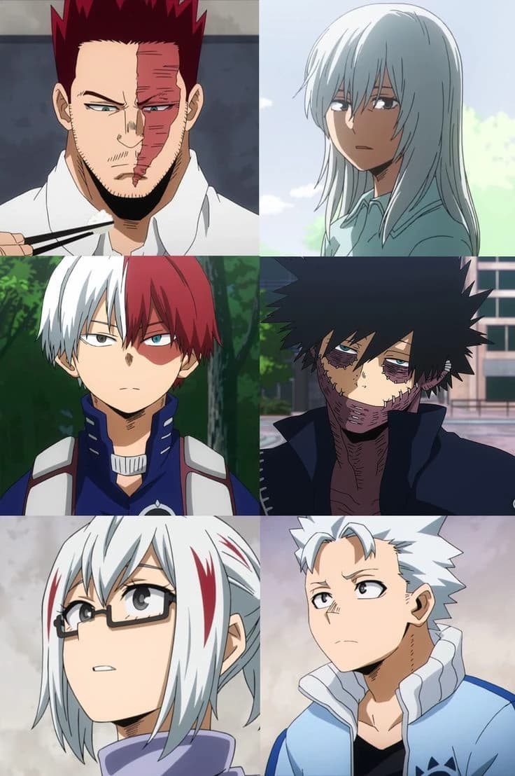 The Todoroki family thumbnail