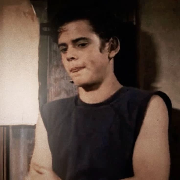 Ponyboy Curtis thumbnail