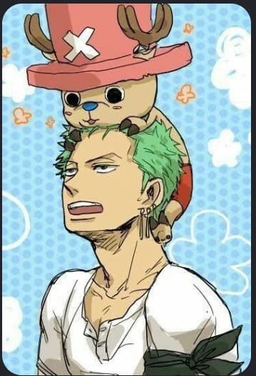 Roronoa Zoro and Tony Tony Chopper (there are no others here) thumbnail