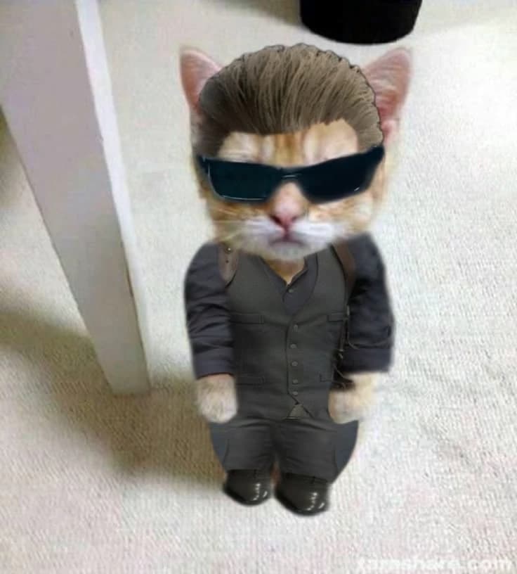Cat wesker  thumbnail