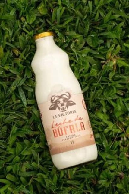 Leche de búfala  thumbnail