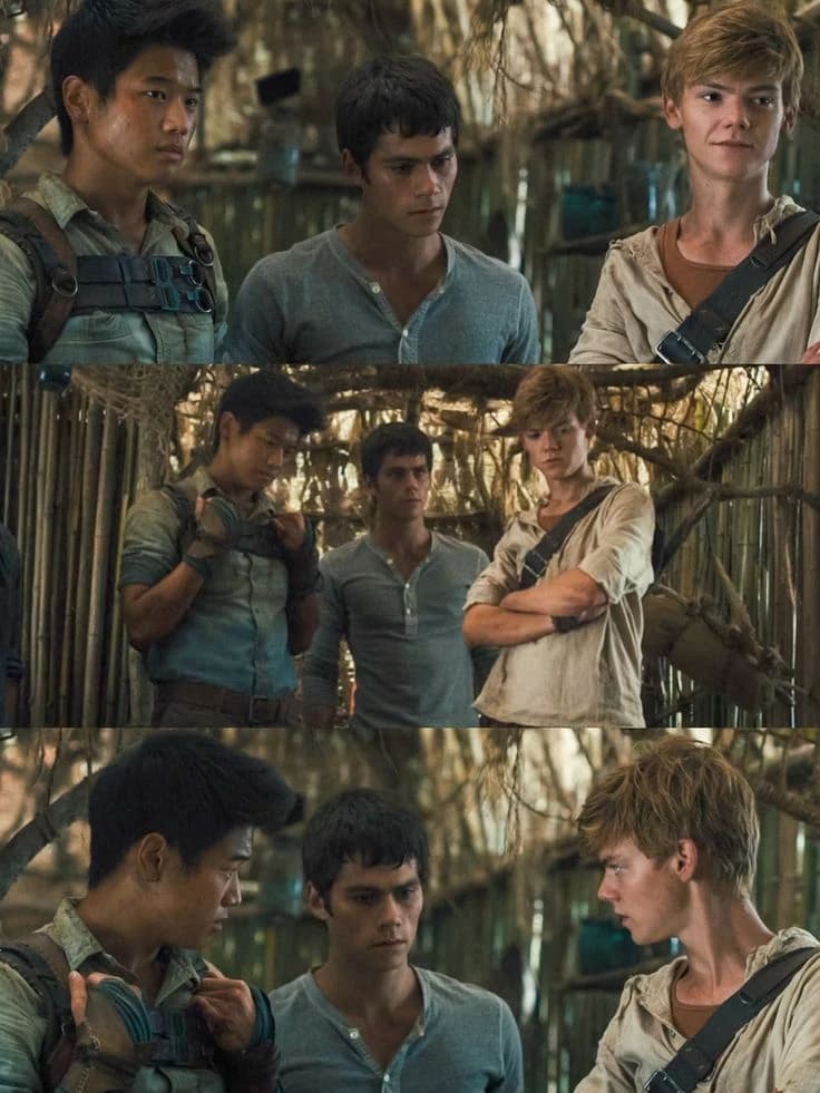 A new member in Maze Runner. thumbnail
