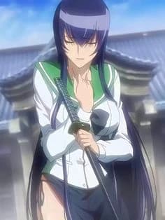 Saeko Busujima (Highschool of dead) thumbnail