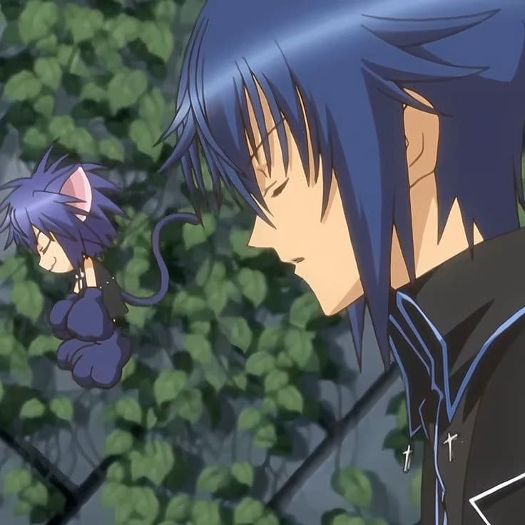 Ikuto Tsukiyomi thumbnail