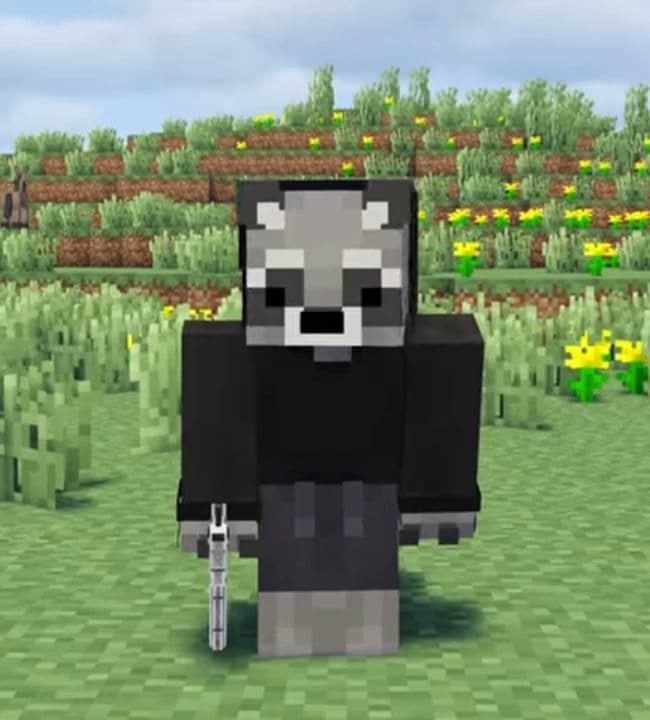 Towi thumbnail