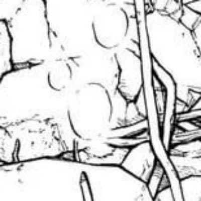 Elara thumbnail