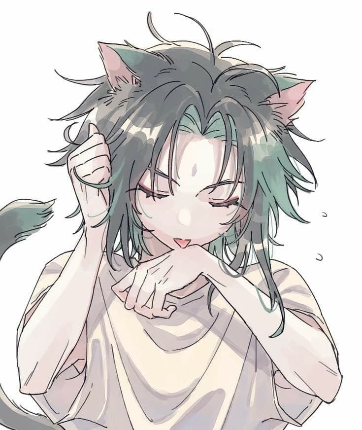 Xiao | Catboy thumbnail