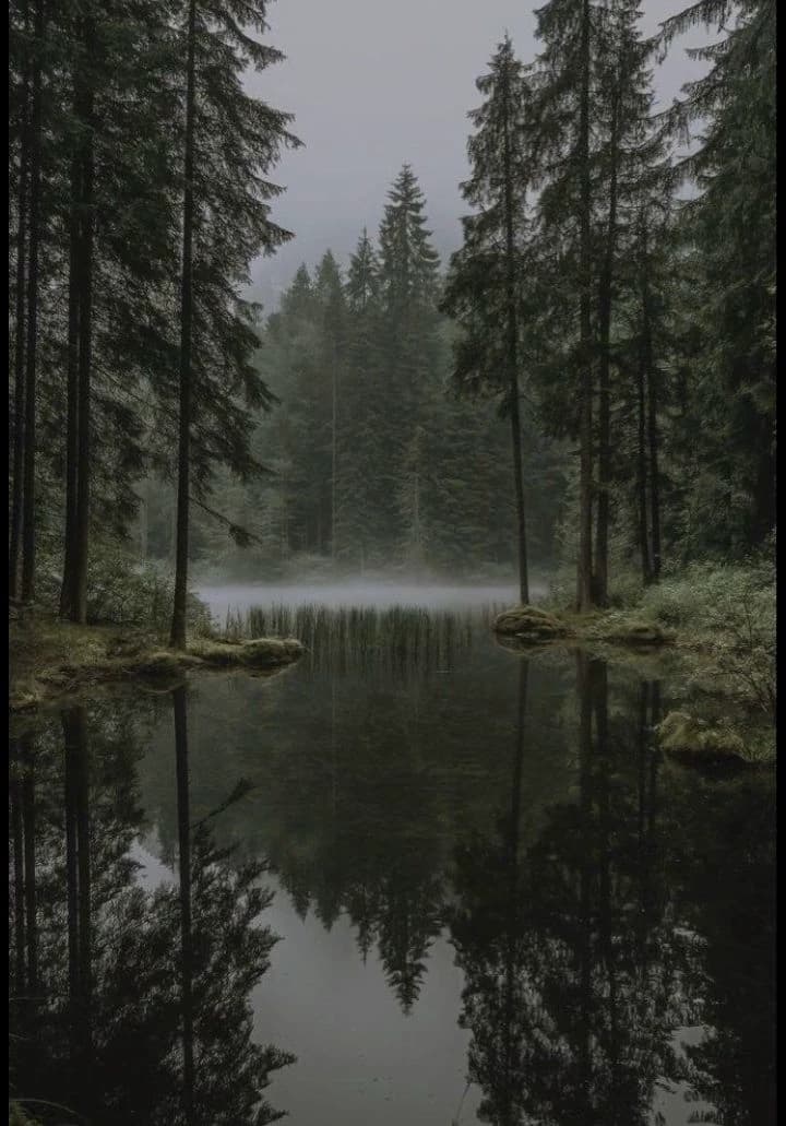 Magical world thumbnail