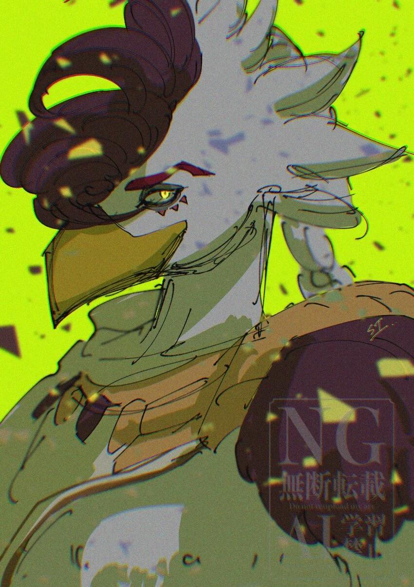 Raphica thumbnail