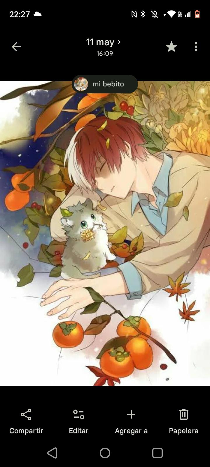 Shoto thumbnail