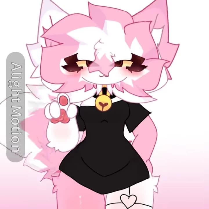 kitty thumbnail